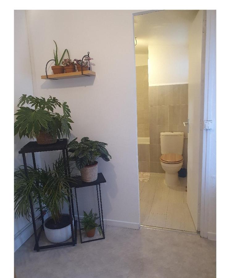 Maison Cosy Paris Orly Jardin Privee Витри-сюр-Сен Экстерьер фото